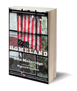 Book cover for Homeland