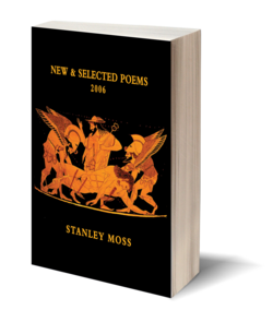 Book cover for Democracy Detained