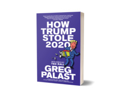 Book cover for How Trump Stole 2020