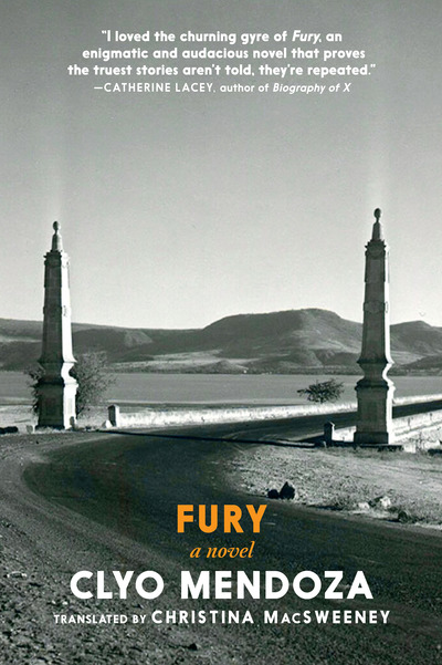 Book cover for Fury