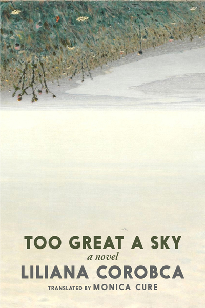 Book cover for Too Great A Sky