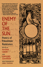 Book cover for Enemy of the Sun