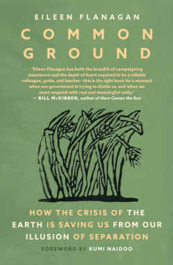 Book cover for Common Ground