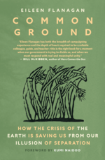 Book cover for Common Ground