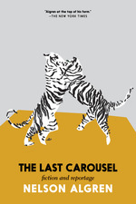 Book cover for The Last Carousel