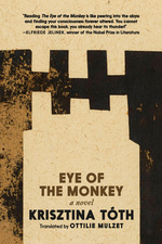 Book cover for Eye of the Monkey