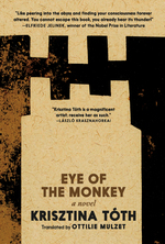Book cover for Eye of the Monkey
