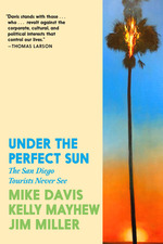 Book cover for Under the Perfect Sun