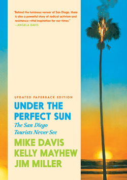 Book cover for Under the Perfect Sun