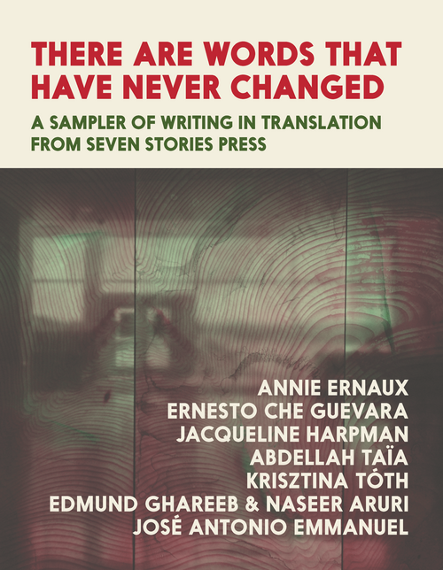 Book cover for There Are Words That Have Never Changed