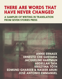 Book cover for There Are Words That Have Never Changed