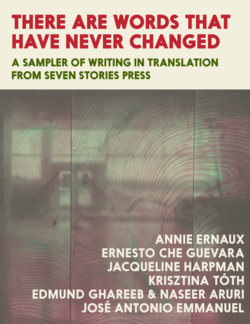 Book cover for There Are Words That Have Never Changed