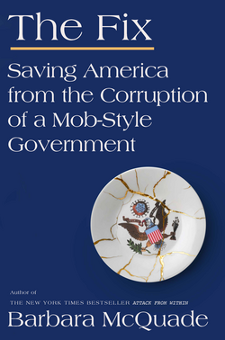Book cover for The Fix