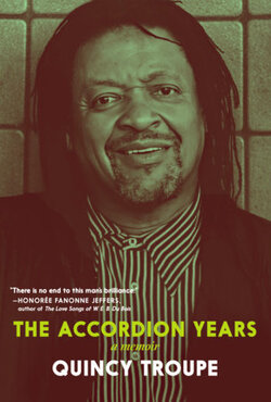Book cover for The Accordion Years